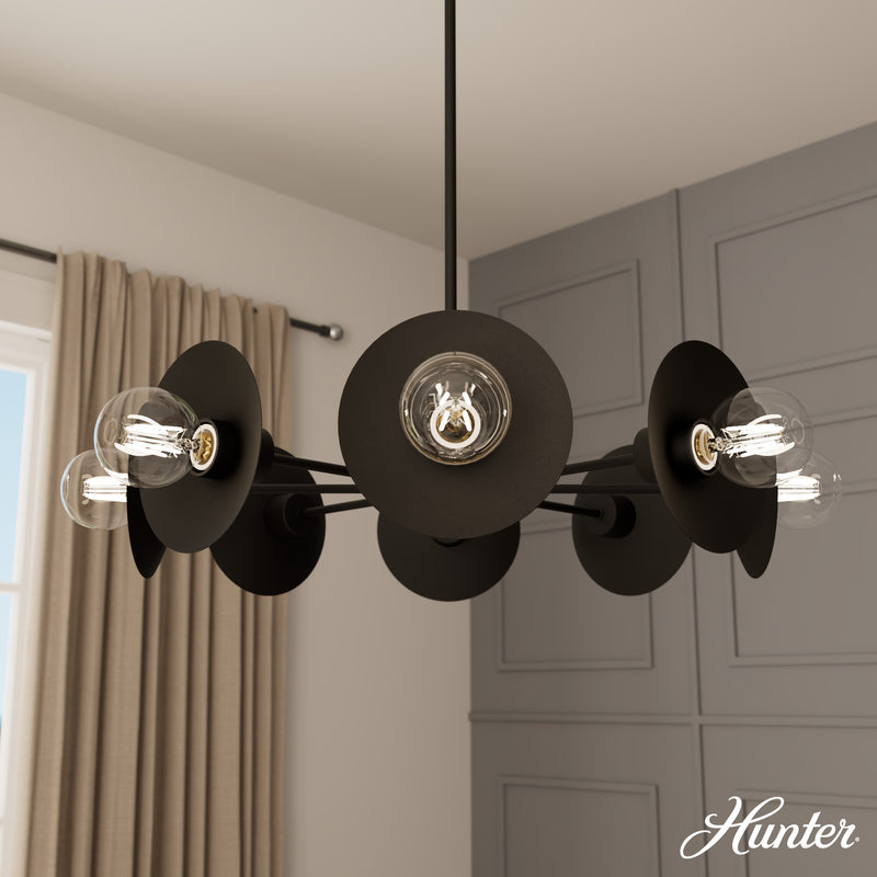 Hunter Fernando Flat Matte Black 8 Light Chandelier Ceiling Light Fixture - Jasmine Roth Collection