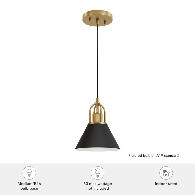 Hunter Carrington Isle Flat Matte Black and Luxe Gold 1 Light Mini Pendant Ceiling Light Fixture - Jasmine Roth Collection