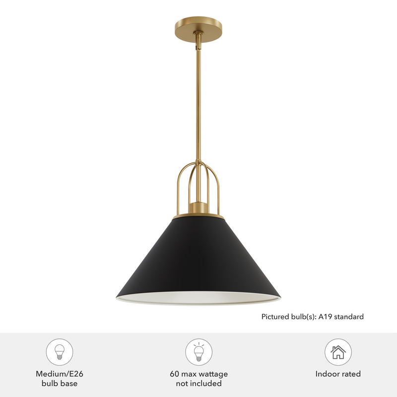 Hunter Carrington Isle Flat Matte Black and Luxe Gold 1 Light Pendant Ceiling Light Fixture - Jasmine Roth Collection