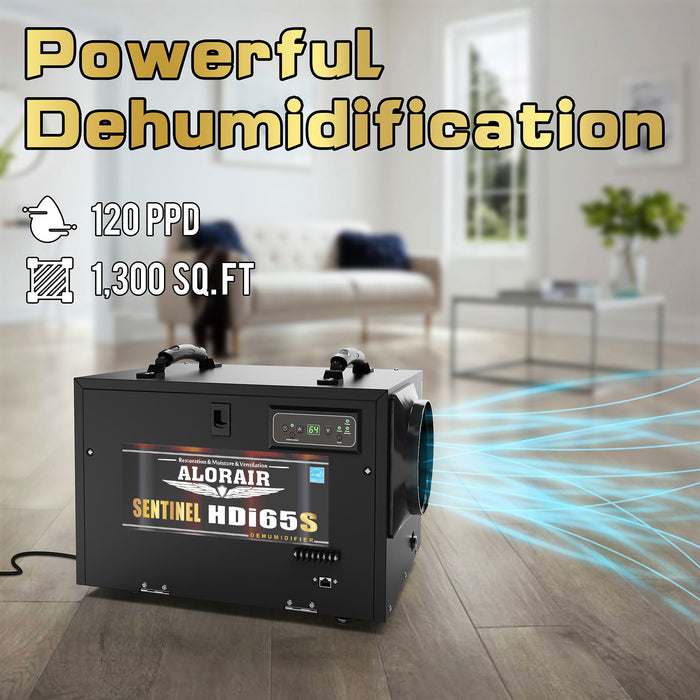 AlorAir Sentinel HDi65S 120 PPD | 55 PPD AHAM Crawl Space & Basement Dehumidifier