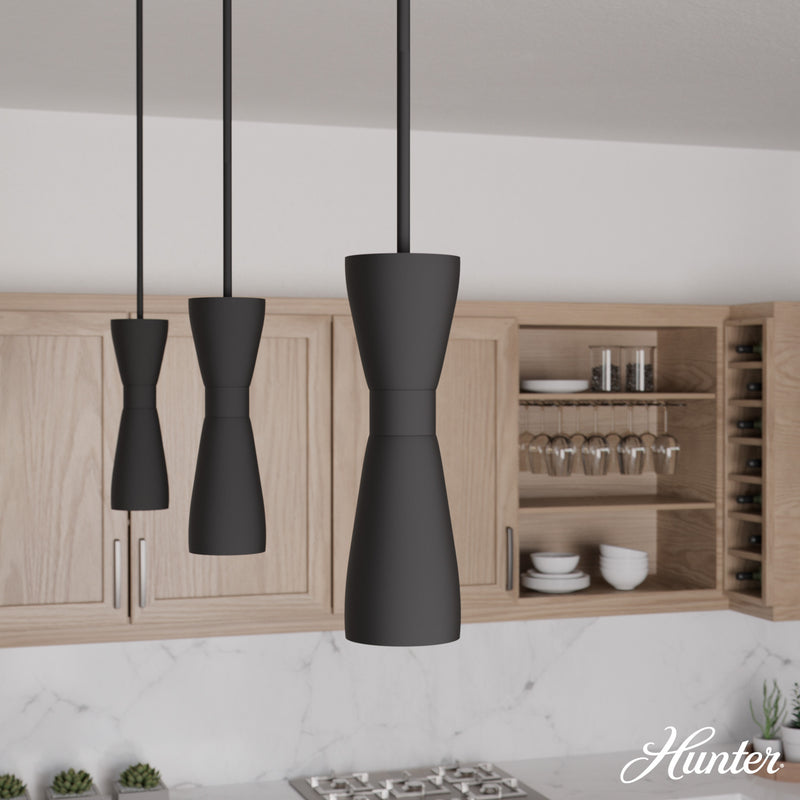 Hunter Zola Flat Matte Black 1 Light Pendant Ceiling Light Fixture - Jasmine Roth Collection