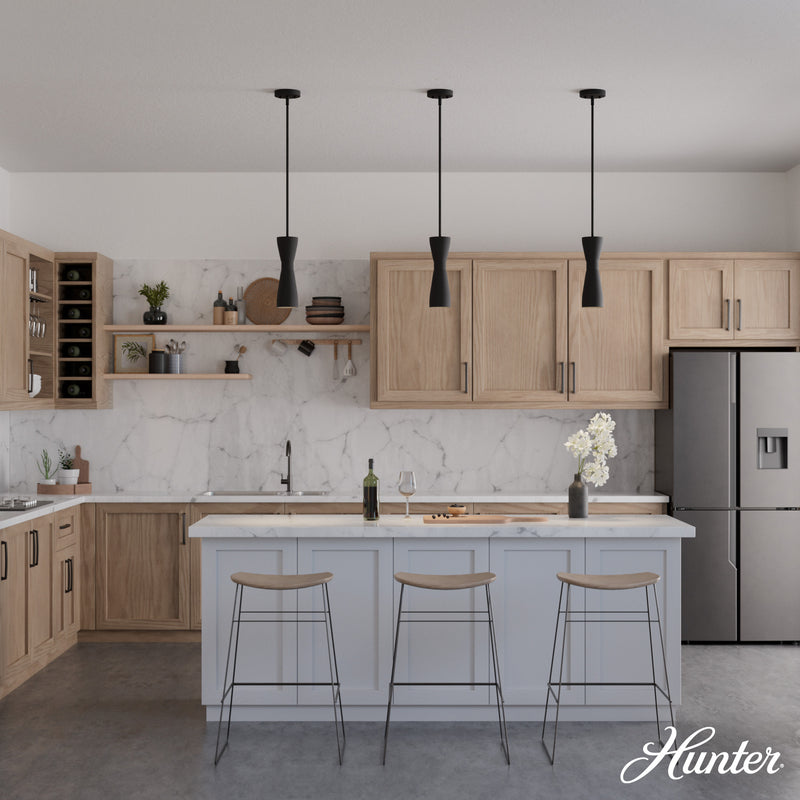 Hunter Zola Flat Matte Black 1 Light Pendant Ceiling Light Fixture - Jasmine Roth Collection