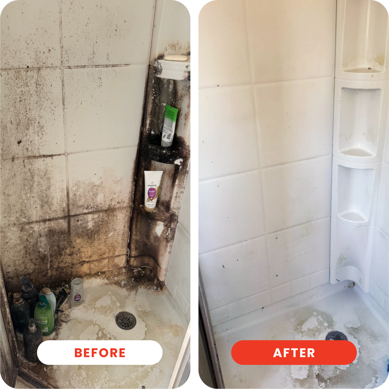 Dot Extra Strength Mold Stain Remover