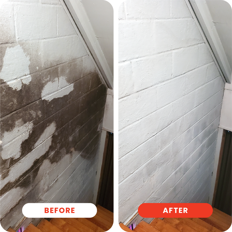 Dot Extra Strength Mold Stain Remover