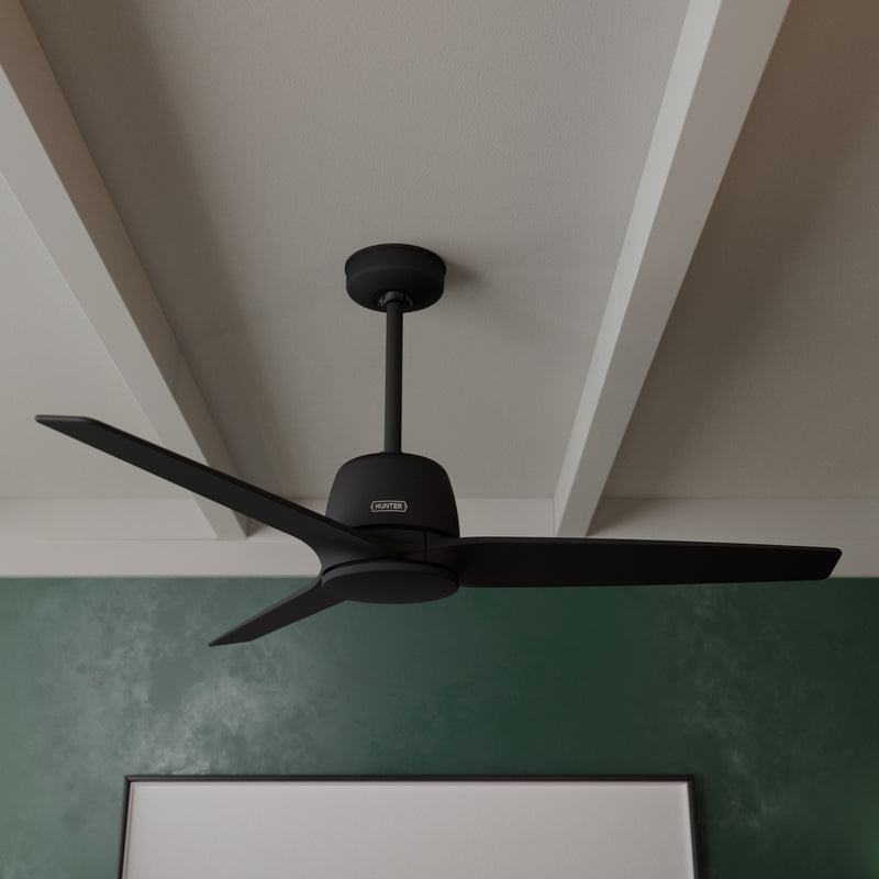 Hunter 52 inch Malden Matte White Ceiling Fan and Handheld Remote - Jasmine Roth Collection