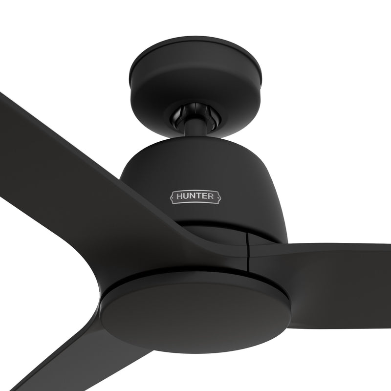 Hunter 52 inch Malden Matte White Ceiling Fan and Handheld Remote - Jasmine Roth Collection