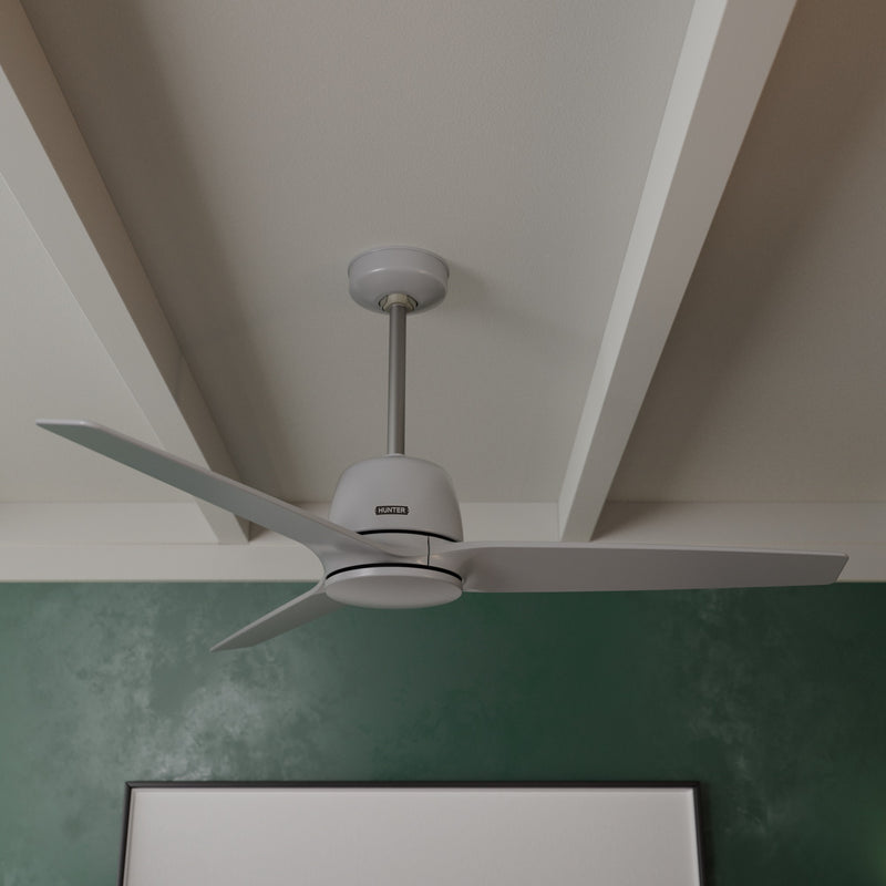 Hunter 52 inch Malden Matte White Ceiling Fan and Handheld Remote - Jasmine Roth Collection