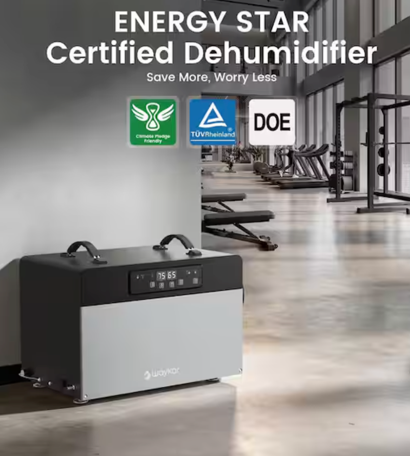 Waykar 125 pt. 6500 sq. ft. Commercial Dehumidifier with Built-in Pump&Drain Hose for Crawl Space, Basement and Garage in Black -AFY2.0DPM