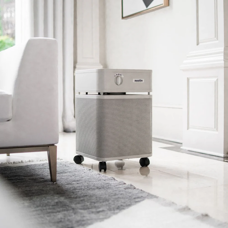 Austin Air Systems Bedroom Machine Air Purifier