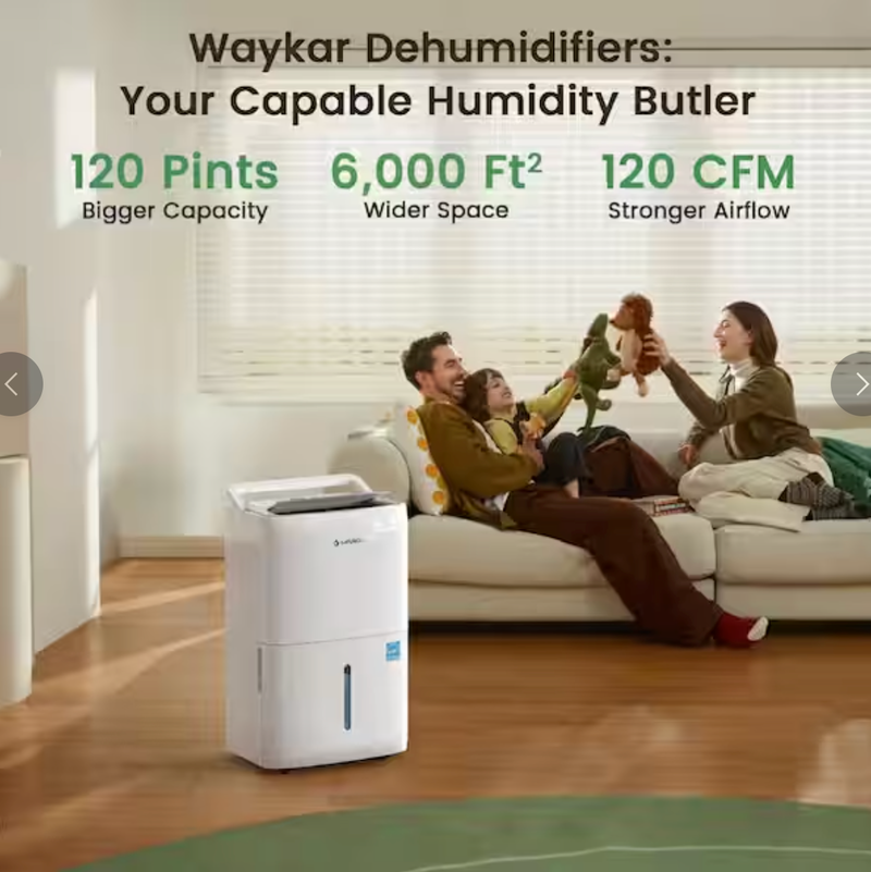 Waykar 120 pt. 6,000 sq. ft. Energy Star Dehumidifier for Basement with Drain Hose and Bucket for Basement, Bedroom in White - CTH120B