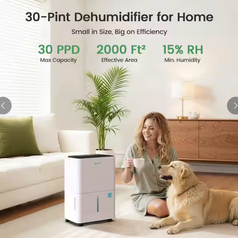 Waykar 30 pt. 2000 sq. ft. Energy Star Dehumidifier for Basement, Whole Room with Continuous Drain Hose and Bucket in White - CTH30C