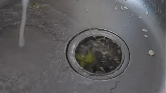 Sepura Composting Garbage Disposal