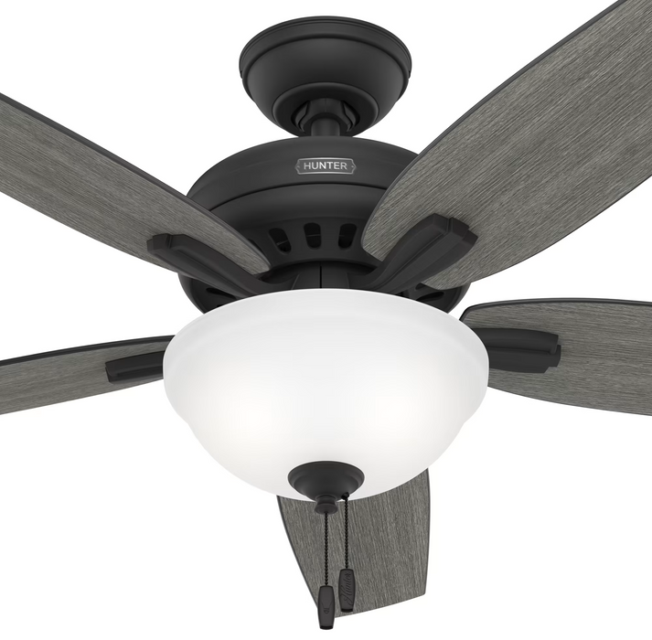 Hunter 52-Inch Newsome Ceiling Fan with Light