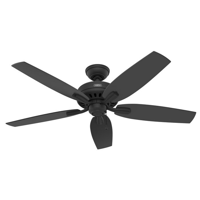 Hunter 52-Inch Newsome Ceiling Fan with Light