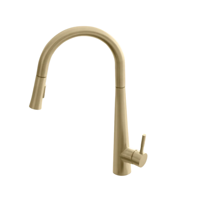 Stylish SIENA Single Handle Pull Down Kitchen Faucet