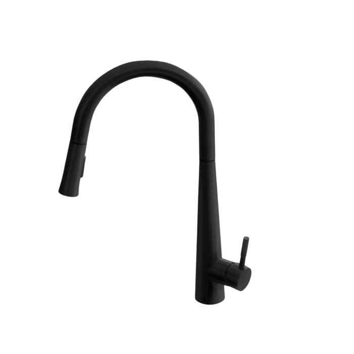 Stylish SIENA Single Handle Pull Down Kitchen Faucet