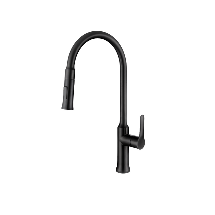 Stylish FORLI Single Handle Pull Down Kitchen Faucet