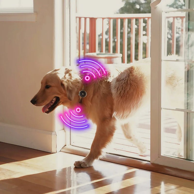 SmartSlydr Smart Pet Door