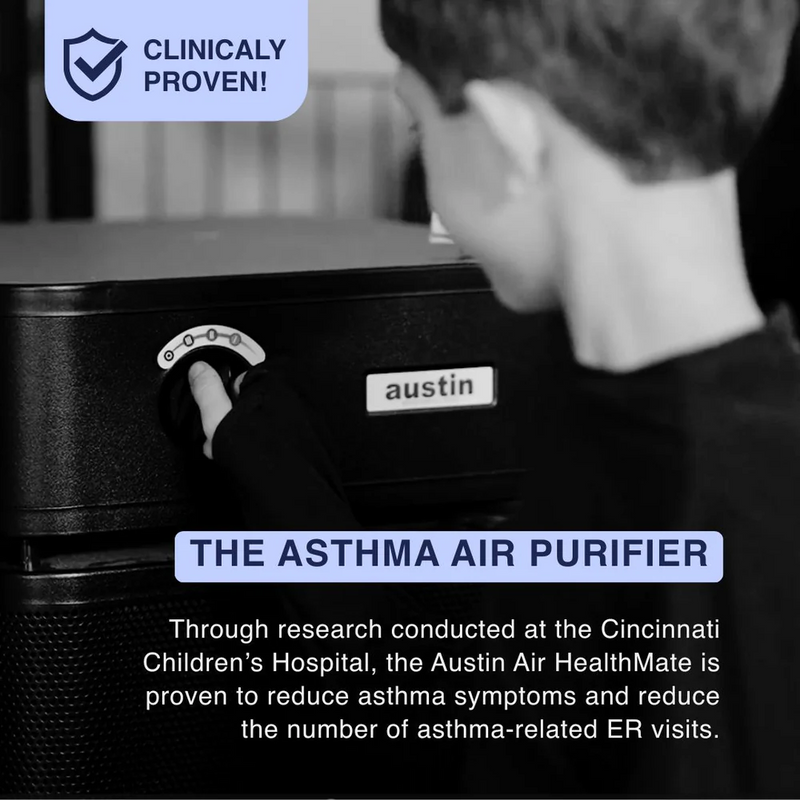 Austin Air Systems Bedroom Machine Air Purifier