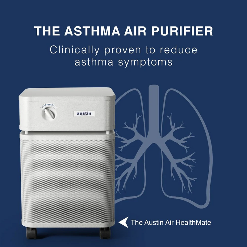 Austin Air Systems Bedroom Machine Air Purifier