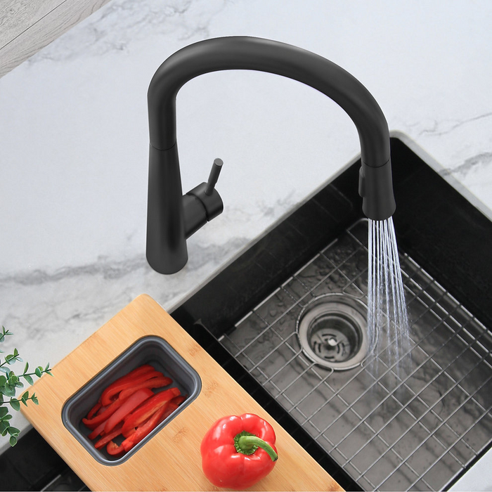 Stylish SIENA Single Handle Pull Down Kitchen Faucet