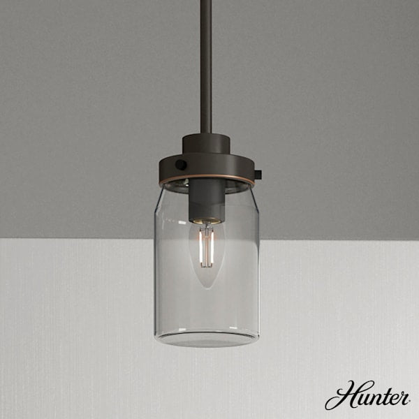 Hunter Devon Park 1 Light Mini Pendant in Onyx Bengal