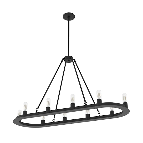 Hunter Saddlewood 10 Light Chandelier in Natural Iron