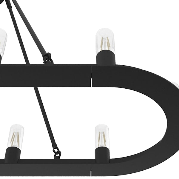 Hunter Saddlewood 10 Light Chandelier in Natural Iron