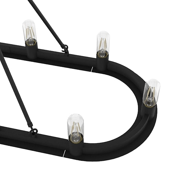 Hunter Saddlewood 10 Light Chandelier in Natural Iron