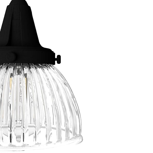 Hunter Cypress Grove 3 Light Round Chandelier in Natural Iron