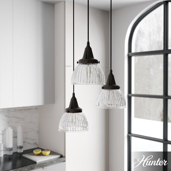 Hunter Cypress Grove 3 Light Round Chandelier in Onyx Bengal