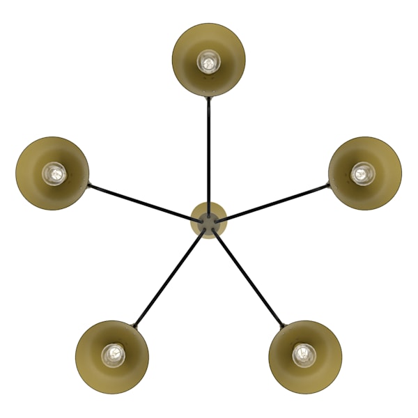 Hunter Grove Isle 5 Light Chandelier in Matte Black