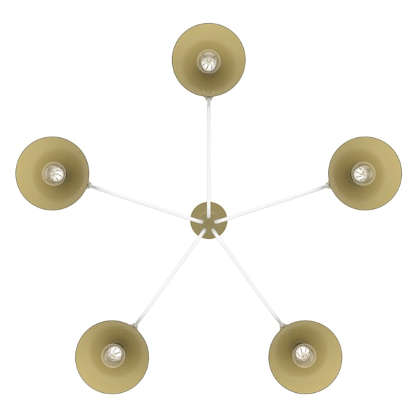Hunter Grove Isle 5 Light Chandelier in Matte White