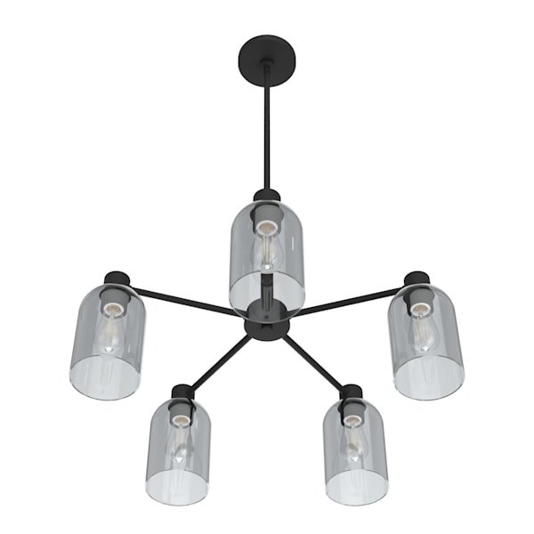 Hunter Lochemeade 5 Light Chandelier in Natural Iron