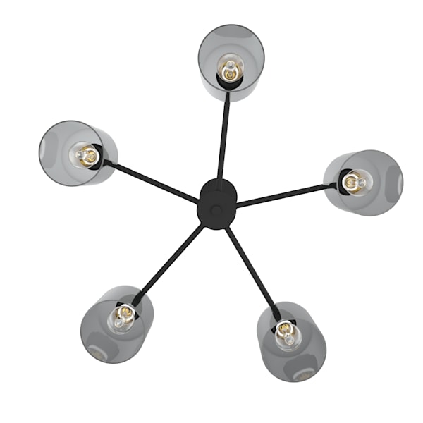Hunter Lochemeade 5 Light Chandelier in Natural Iron