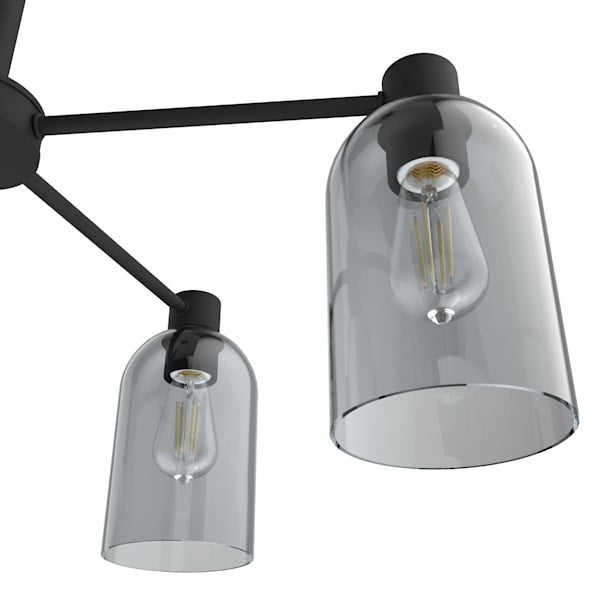 Hunter Lochemeade 5 Light Chandelier in Natural Iron
