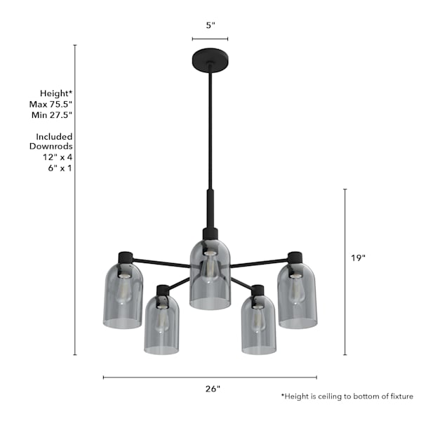 Hunter Lochemeade 5 Light Chandelier in Natural Iron