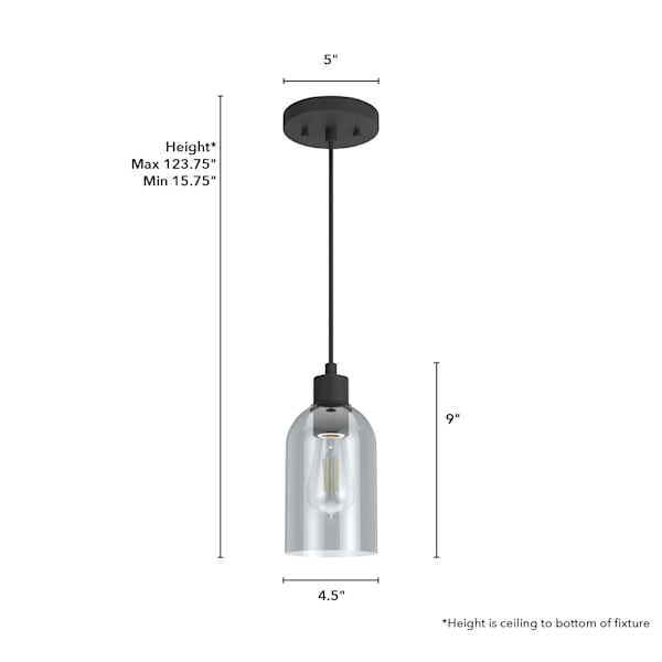 Hunter Lochemeade 1 Light Mini Pendant in Natural Iron