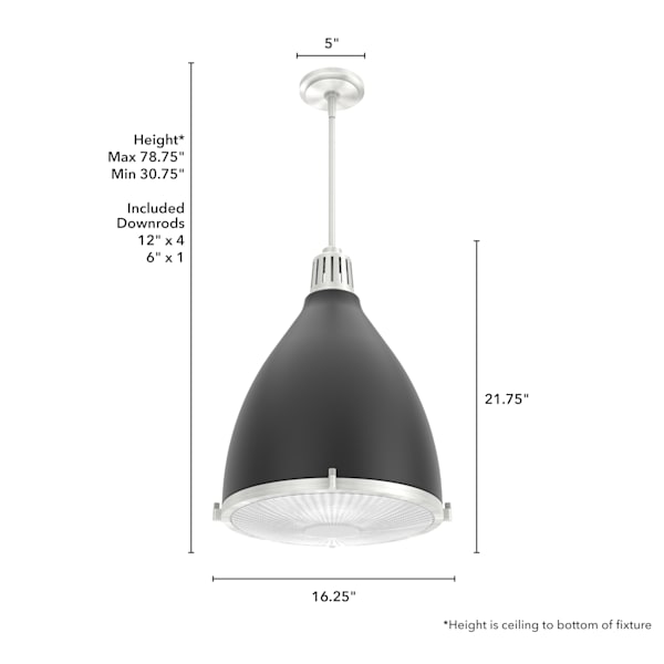 Hunter Bluff View 3 Light 16 Inch Pendant in Flat Matte Black