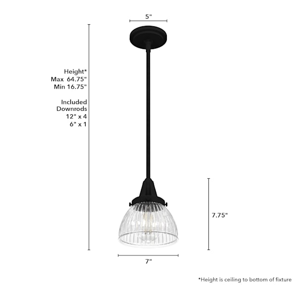 Hunter Cypress Grove 1 Light Mini Pendant in Natural Iron