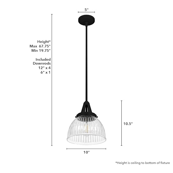 Hunter Cypress Grove 1 Light 10 Inch Pendant in Natural Iron