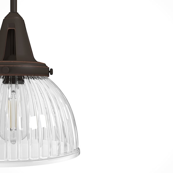 Hunter Cypress Grove 1 Light 10 Inch Pendant in Onyx Bengal