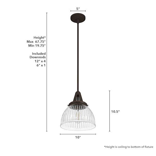 Hunter Cypress Grove 1 Light 10 Inch Pendant in Onyx Bengal