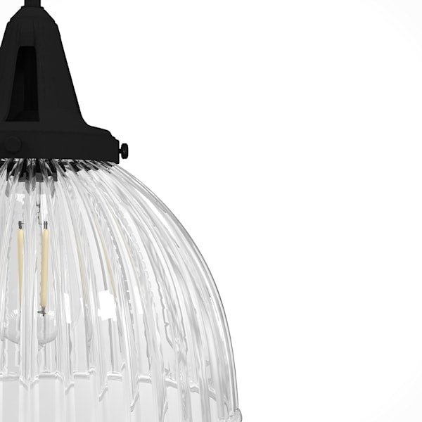 Hunter Cypress Grove 1 Light 13 Inch Pendant in Natural Iron