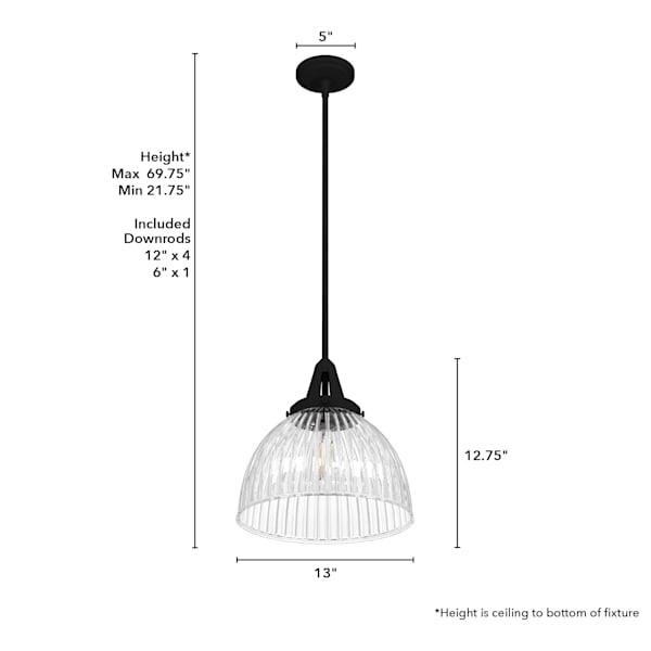 Hunter Cypress Grove 1 Light 13 Inch Pendant in Natural Iron