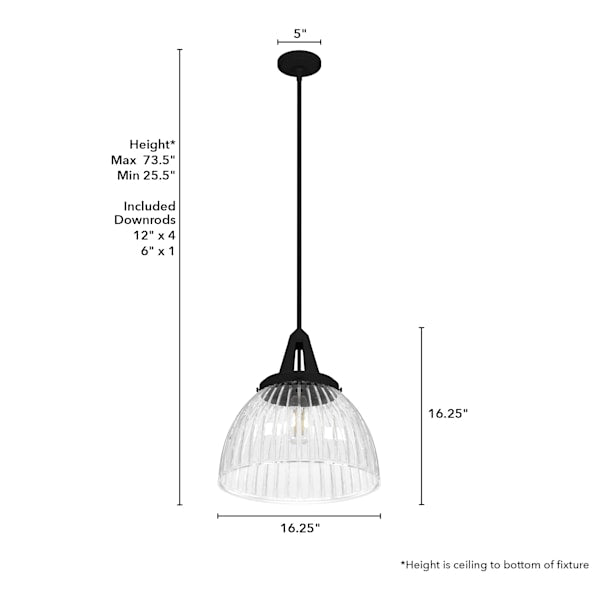 Hunter Cypress Grove 1 Light 16 Inch Pendant in Natural Iron