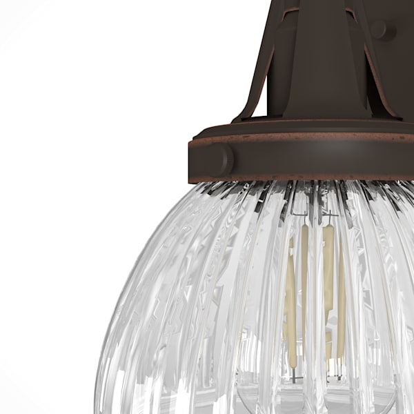 Hunter Cypress Grove 1 Light Wall Sconce in Onyx Bengal