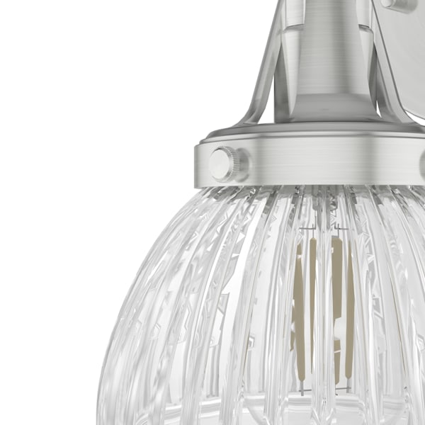 Hunter Cypress Grove 1 Light Wall Sconce in Brushed Nickel