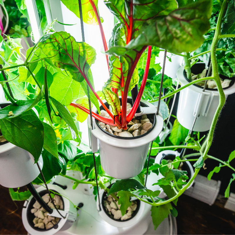 Nutritower Vertical Hydroponic Indoor Garden