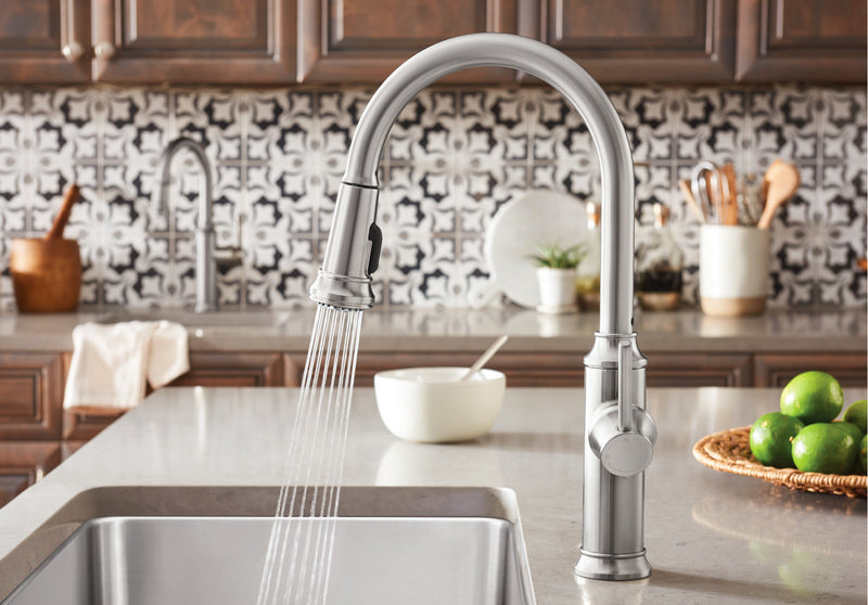 Blanco Empressa Pull-Down 1.5 GPM Kitchen Faucet